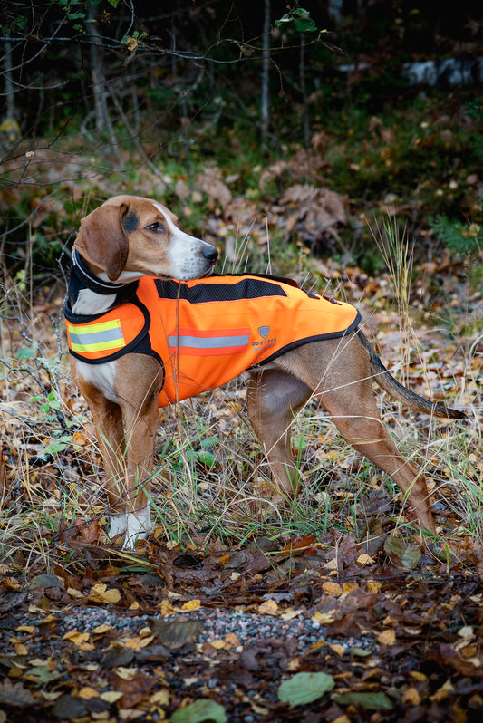Dogtech Wolf Mesh med vargstål monterat på en hamiltonstövar-hund.