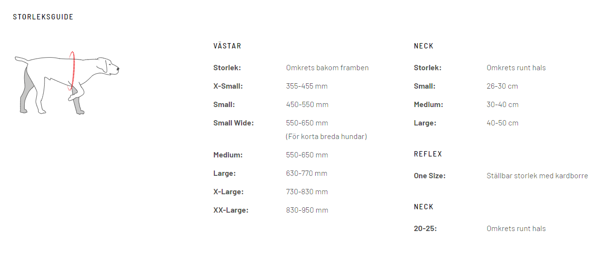 Neck