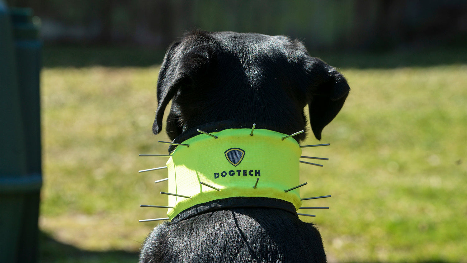Dogtech Neck is one of our accessories