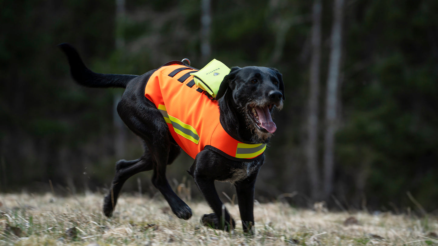 Dogtech HiVis (High Visibility)