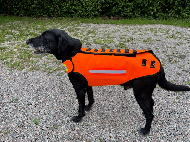 Dogtech Wolf med vargstål monterat på en svart blandrashund, fotat från sidan.